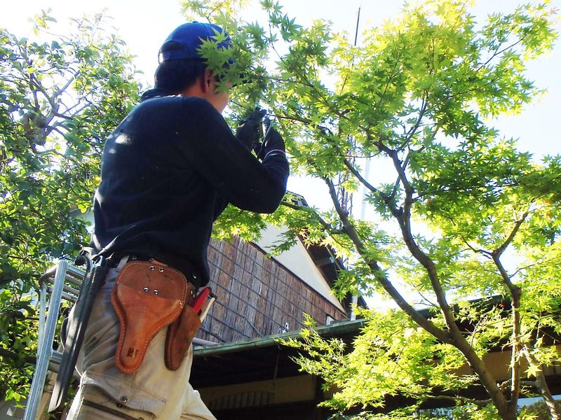 株式会社　武田園のアルバイト・バイト求人情報-05