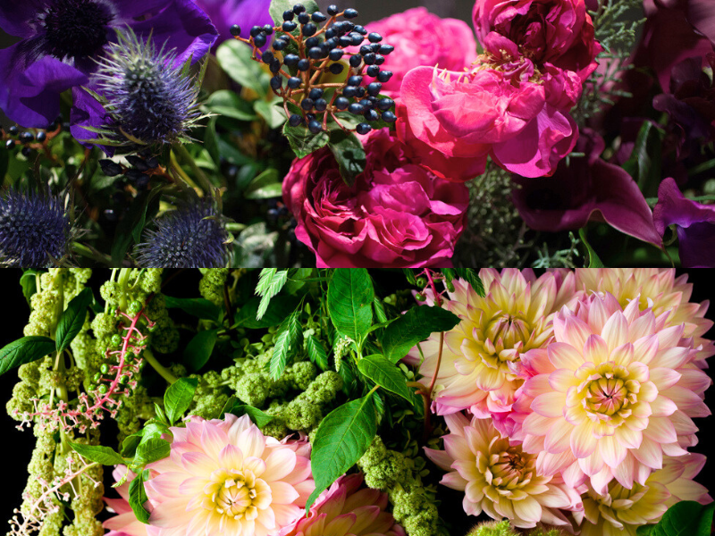 bloom&brewのアルバイト・バイト求人情報-03