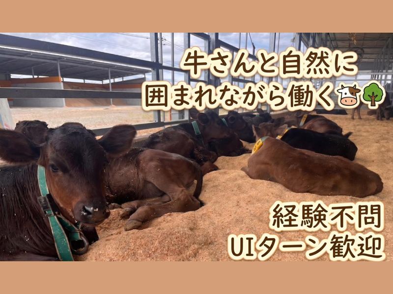 有限会社月尾企画の求人・転職情報