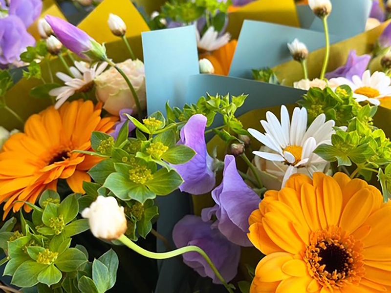 有限会社カントリーファーム花太郎 (工場)のアルバイト・バイト求人情報-03