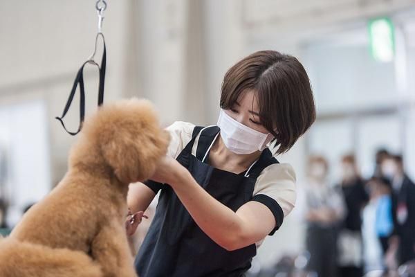 ペットに優しい美容を学ぶ3日間!トリマー体験