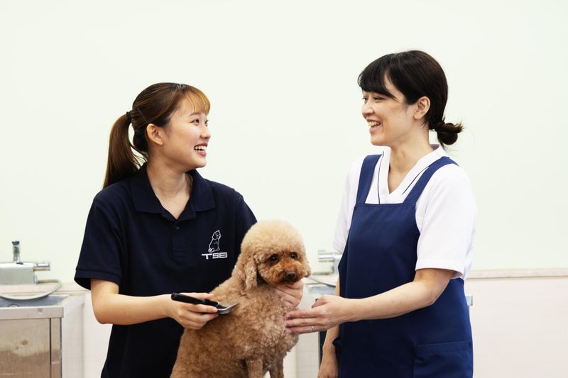 学校法人21世紀アカデメイアの求人・転職情報