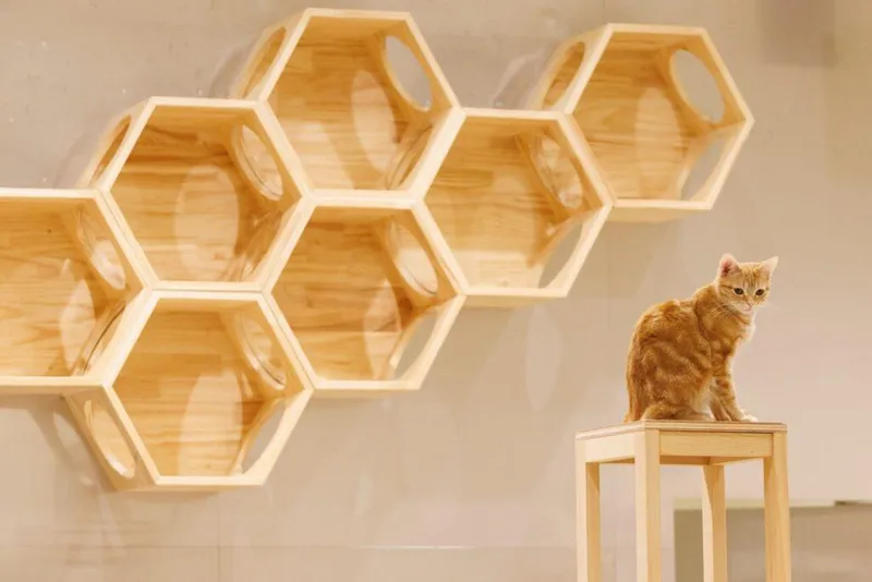 Cat Café MOFF コクーンシティさいたま新都心店のアルバイト・バイト求人情報