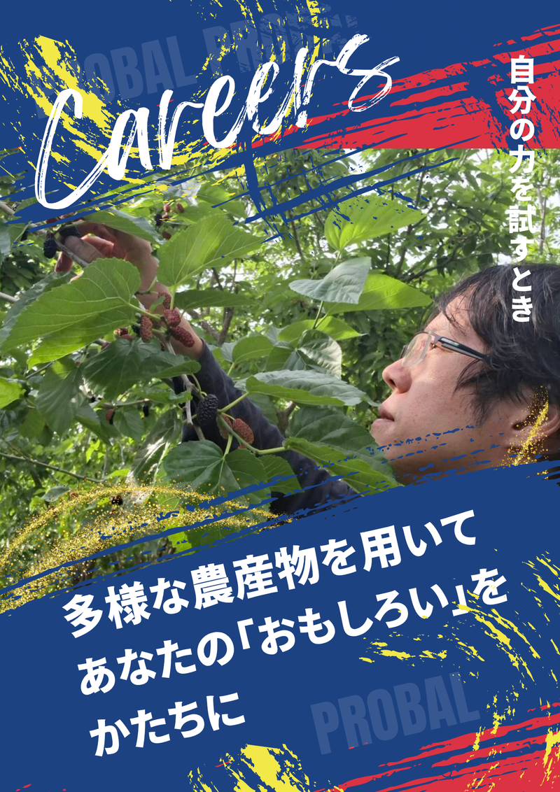 株式会社プローバル-0002の求人・転職情報