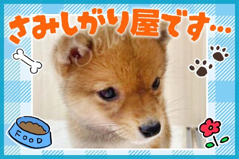 株式会社ファイブワンの求人・転職情報