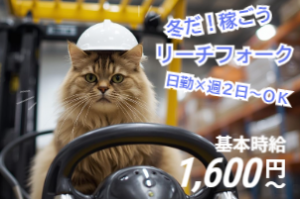 株式会社エイブル・スタッフの派遣求人情報