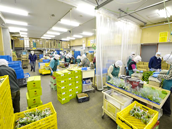 株式会社ワタリのアルバイト・バイト求人情報-02