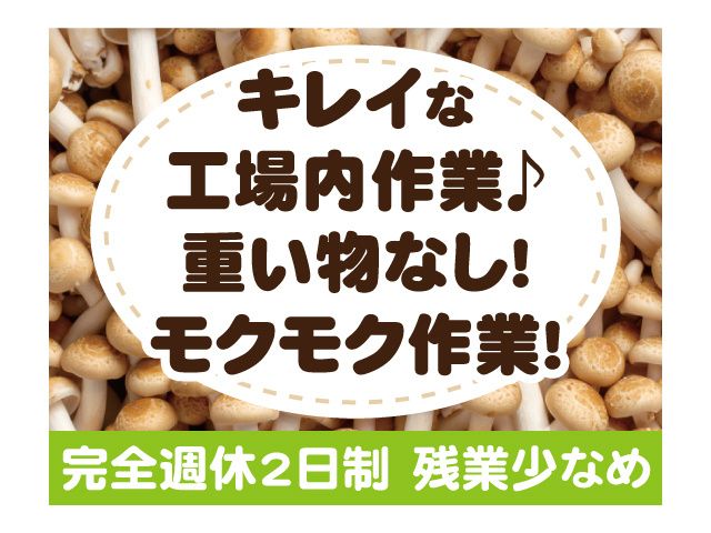 株式会社ティー・シー・シーのアルバイト・バイト求人情報-30