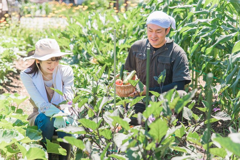 株式会社 Asian Bridgeのアルバイト・バイト求人情報-02