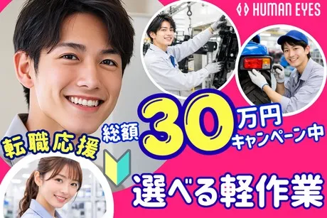 株式会社ヒューマンアイズの求人・転職情報