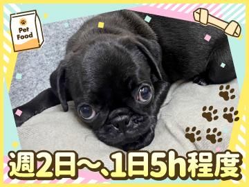 ペットワールドアミーゴ西条店のアルバイト・バイト求人情報-03