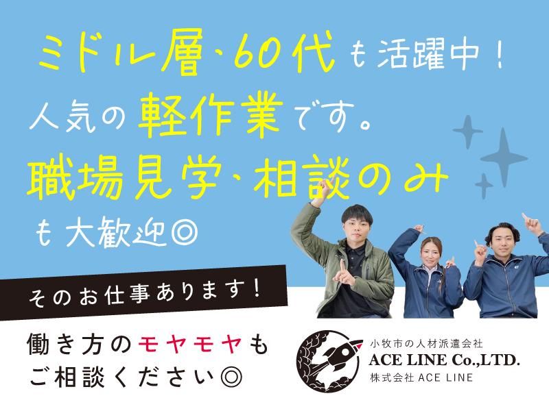 株式会社ACE LINEのアルバイト・バイト求人情報-13