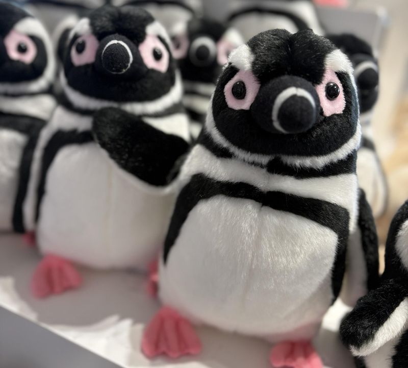 すみだ水族館ミュージアムショップ(株式会社オークコーポレーション)/507c05のアルバイト・バイト求人情報-02