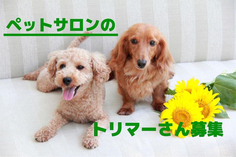 ペットサロン　ラブドックスの求人・転職情報