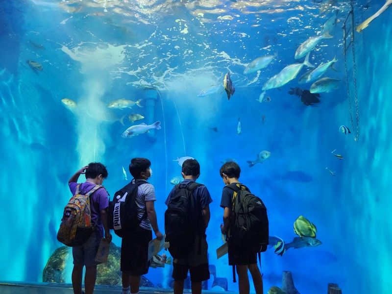 株式会社ｓｍｉｌｅ　ｓｅｅｄの求人・転職情報