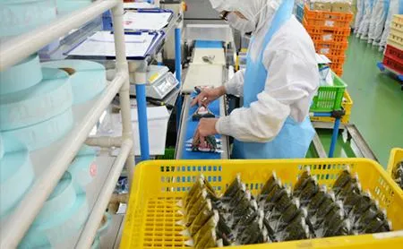 藤本食品株式会社の求人・転職情報
