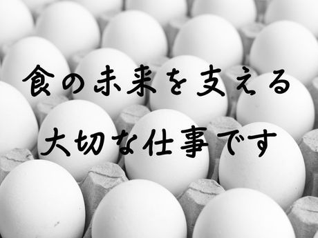 ショウヨウ株式会社の求人情報