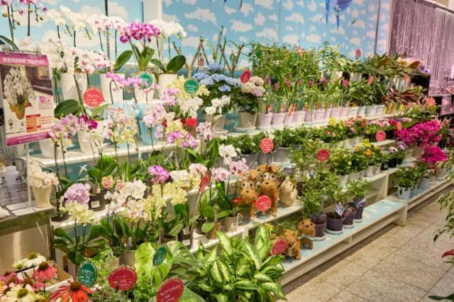 アピタパワー新守山店のアルバイト・バイト求人情報-45