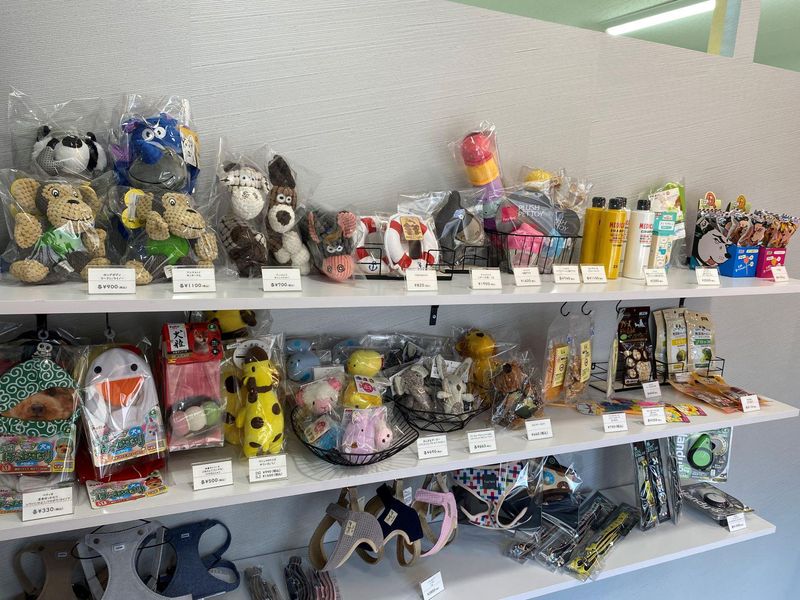 DogSalon againのアルバイト・バイト求人情報-02