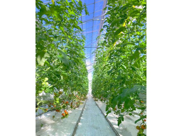 JAちば東葛 西船地区経済センターのアルバイト・バイト求人情報-03