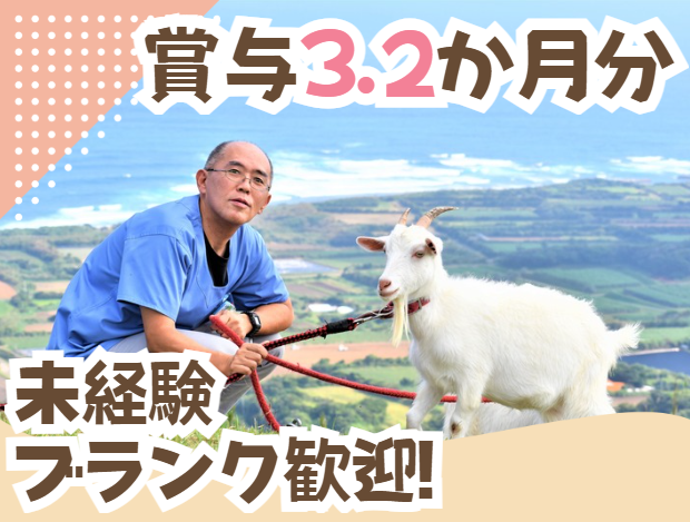 介護老人保健施設わらび苑の求人・転職情報