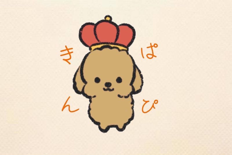 ワンワンショップpuppyKingdomのアルバイト・バイト求人情報-03