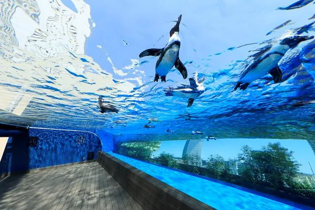サンシャイン水族館(運営:株式会社サンシャインエンタプライズ)のアルバイト・バイト求人情報-04