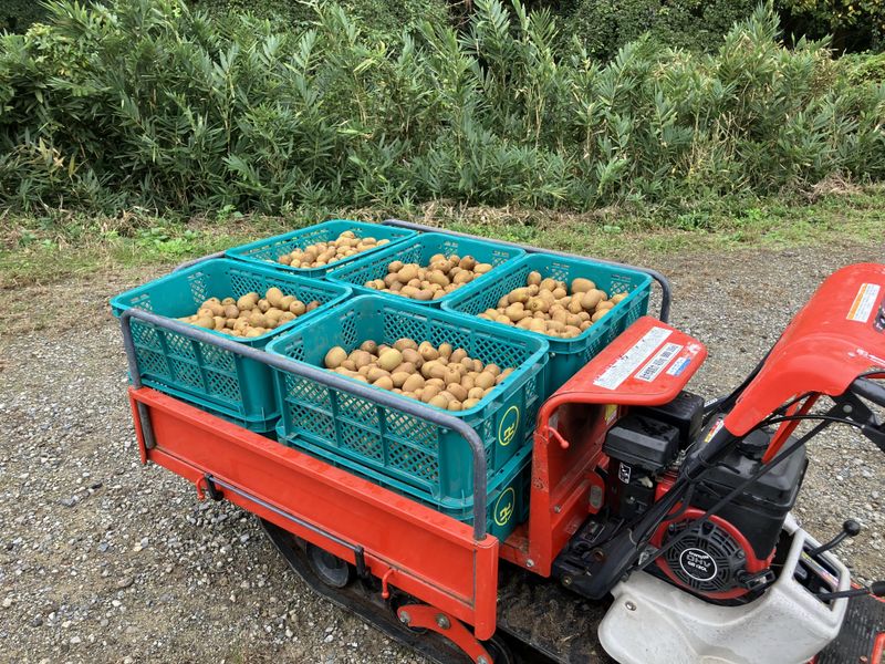 香川県・群馬県の圃場(各1名ずつ)のアルバイト・バイト求人情報-05