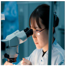 株式会社日輪の求人・転職情報