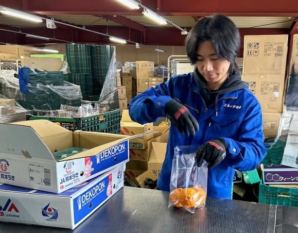 カネイチ青果株式会社の求人・転職情報