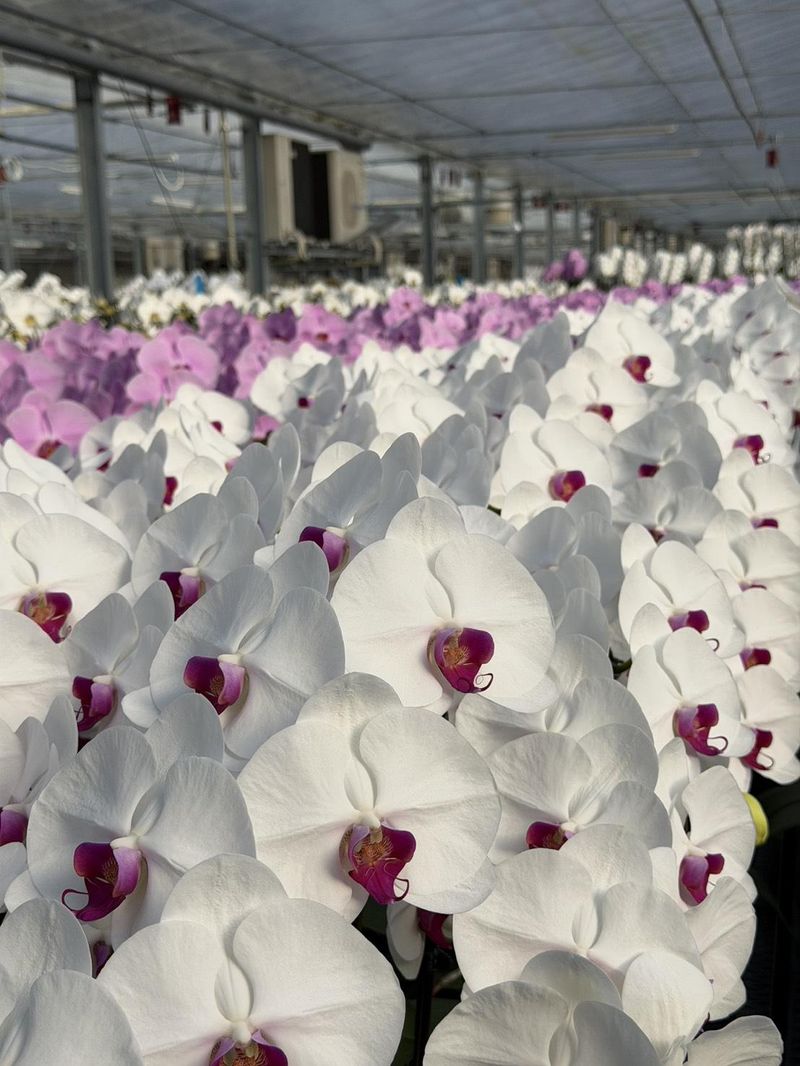 株式会社リーフの求人・転職情報