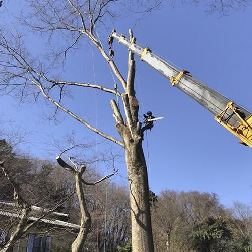 株式会社アーク-0003の求人・転職情報