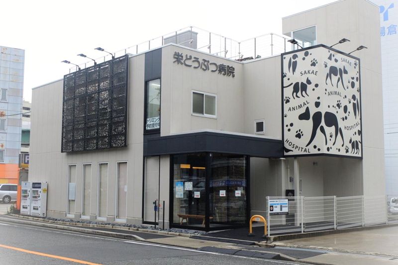 株式会社ファニメディック-0004の求人・転職情報