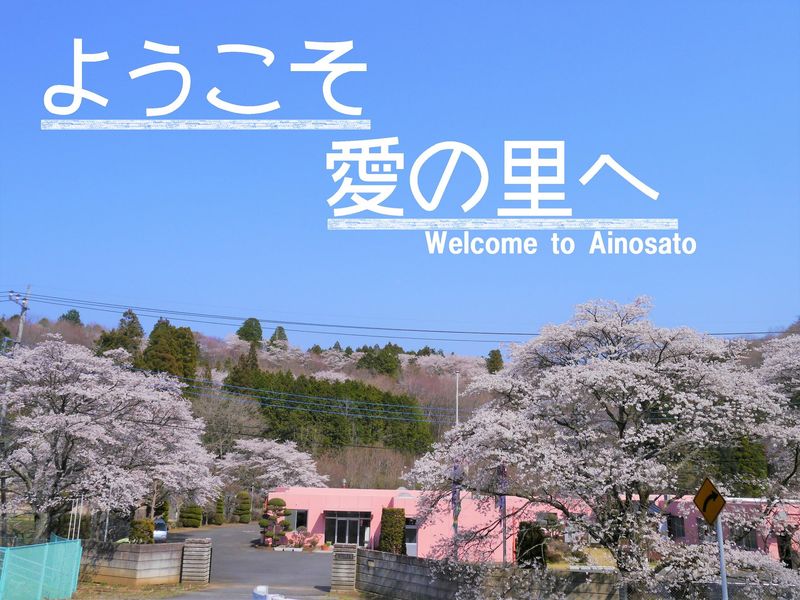 社会福祉法人朝日会の求人・転職情報
