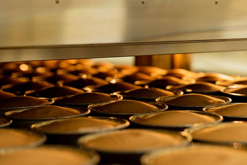 株式会社フランドールの求人・転職情報