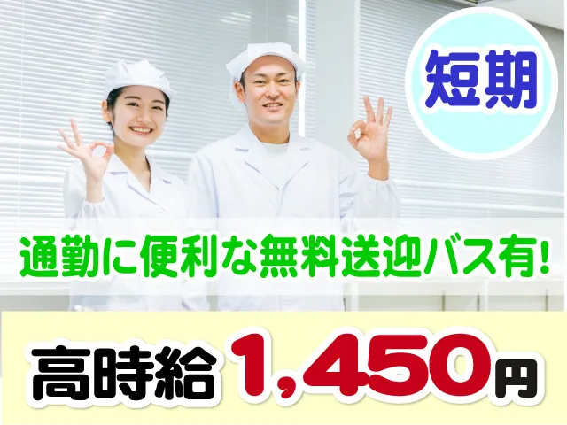 スタッフィングギャロップ株式会社