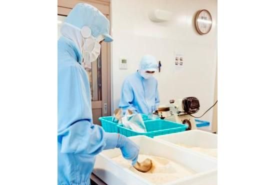 株式会社テイスティのアルバイト・バイト求人情報-02