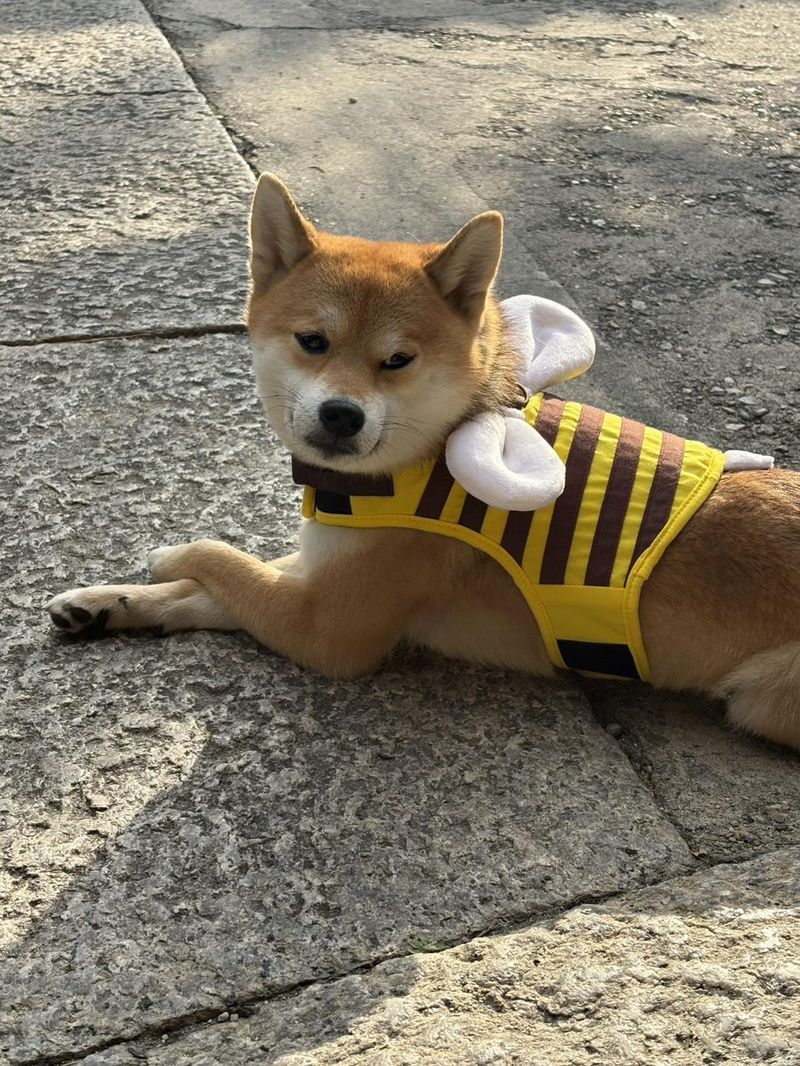 株式会社あんのんの求人・転職情報