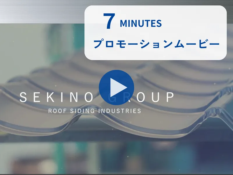 株式会社セキノ興産