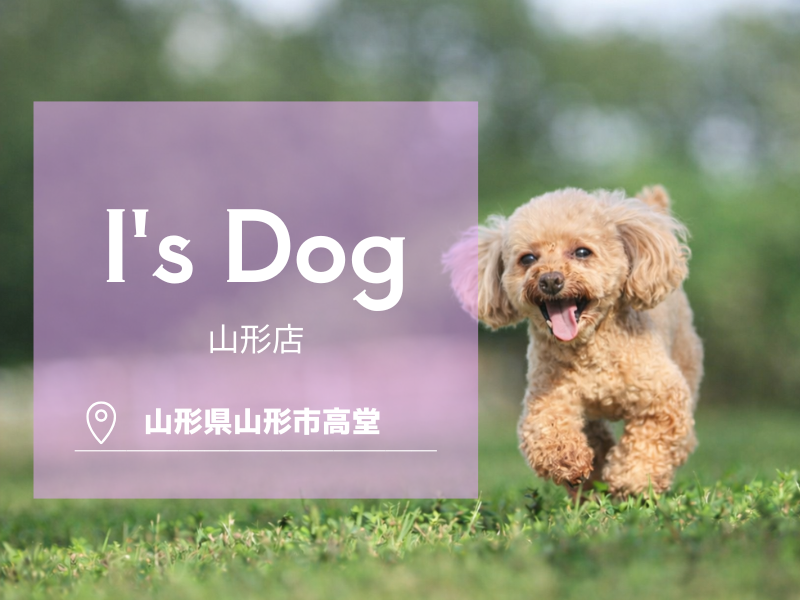 合同会社Ｉ　Ｗａｎの求人・転職情報