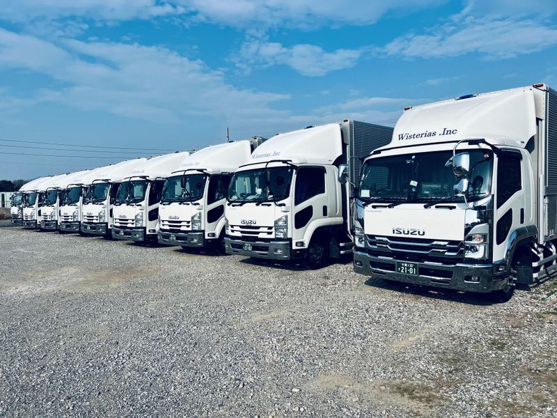 ウィステリアス株式会社の求人・転職情報