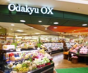 Odakyu OX ͑X