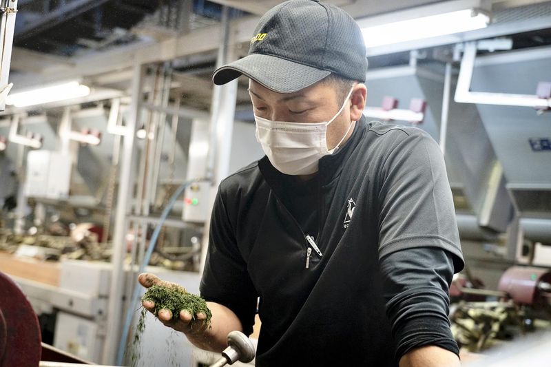 鹿児島堀口製茶有限会社の求人・転職情報