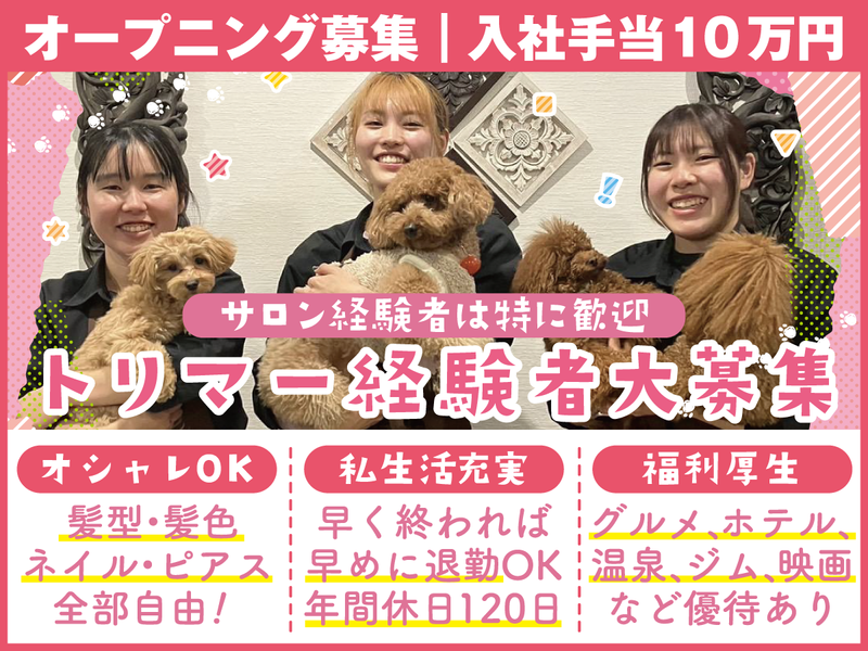 株式会社Ｌｕｃｕの求人・転職情報
