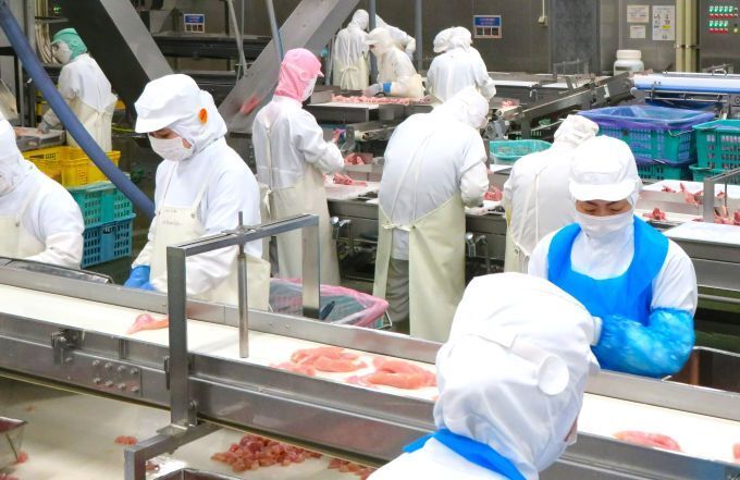 プライフーズ株式会社-0011の求人・転職情報