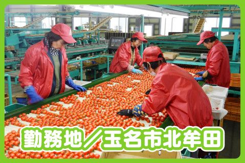 熊本県農業協同組合中央会の派遣求人情報