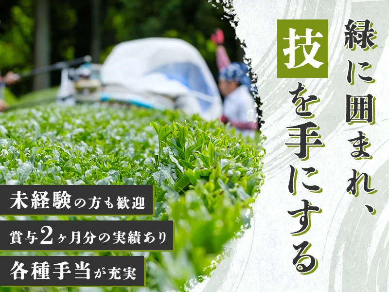 株式会社東八重製茶の求人・転職情報