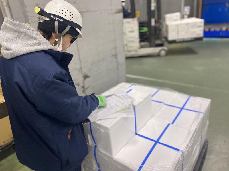 エス・ティー・サポート株式会社の求人・転職情報