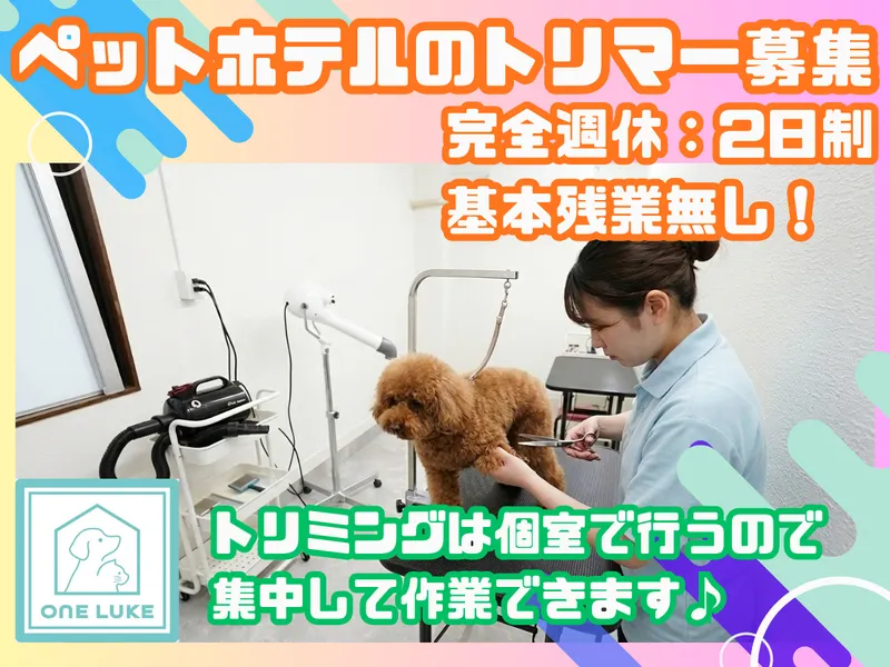 ONE株式会社の求人・転職情報