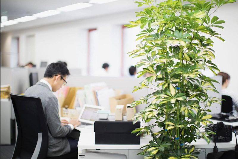 JAZYブランディング株式会社のアルバイト・バイト求人情報-02